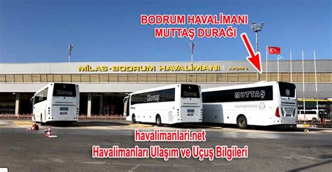 bodrum havalimanı otobüs